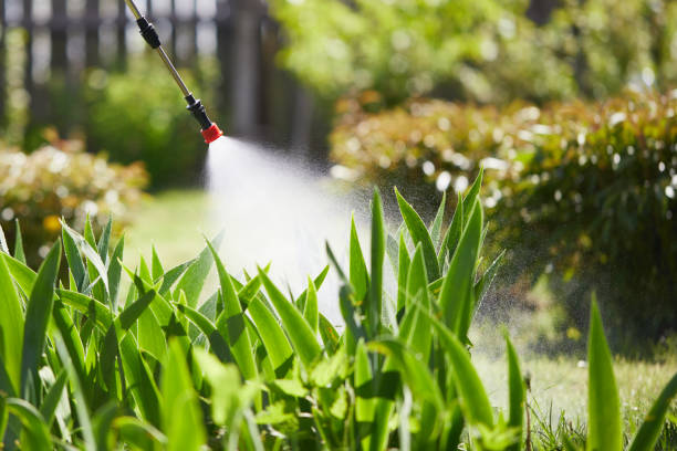 Tamper-Resistant Bait Stations for Rodents in Laguna Park
