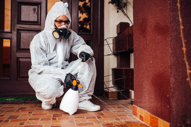 Attic and Crawl Space Rodent Treatment in Laguna Park